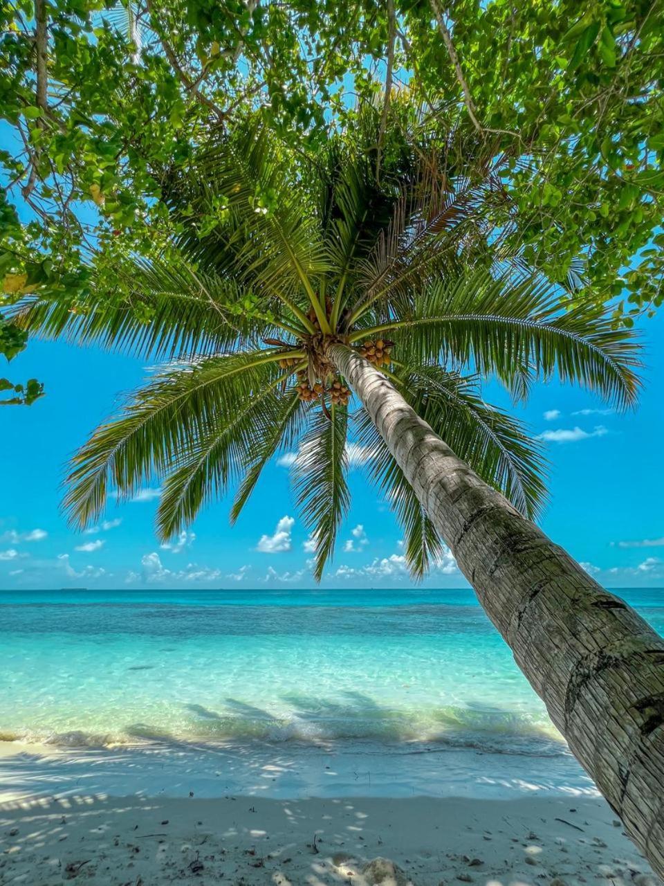 Infinite Lagoon Mandhoo Exteriér fotografie